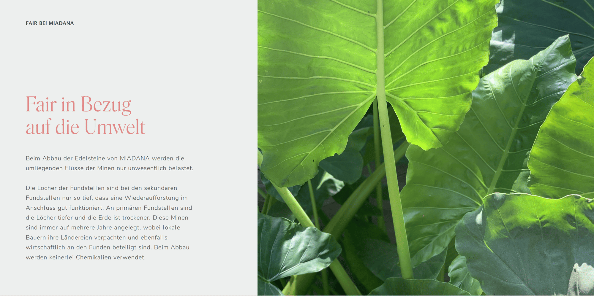 Bildschirmfoto 2025-10-21 um 09.58.59