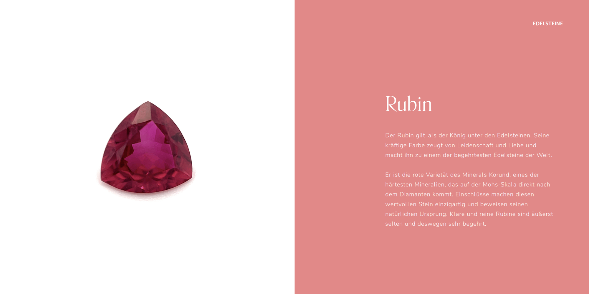 Bildschirmfoto 2025-10-21 um 10.00.35